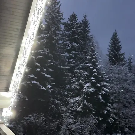 Chalet Galicia Vorokhta